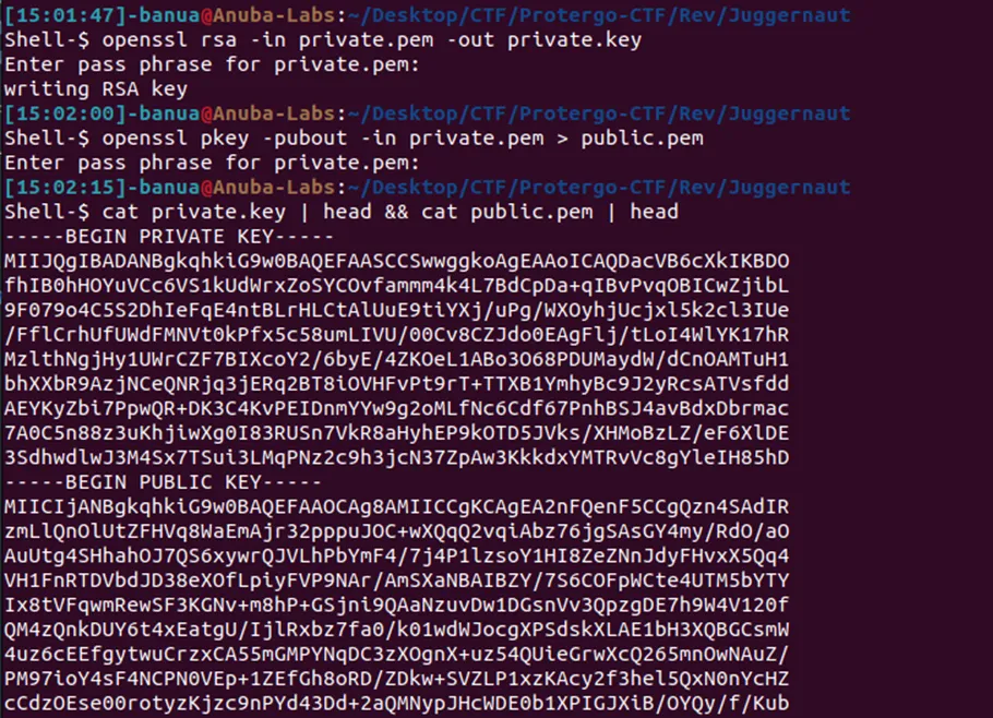 Juggernaut of Wicked Tyranny